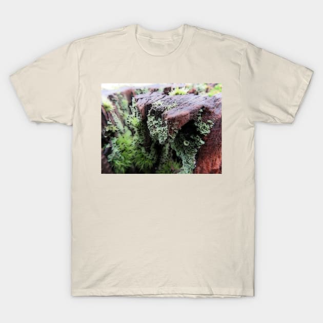 The spread T-Shirt by olliehenry